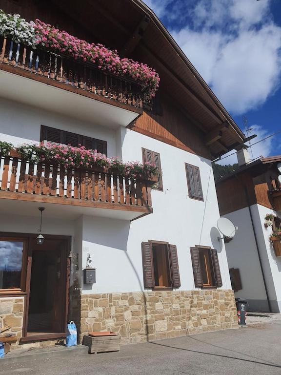 Casa Phoenix Appartamento Piano Terra Immerso Nel Verde A Pochi Minuti Dalla Ciclabile Pieve di Cadore Zewnętrze zdjęcie