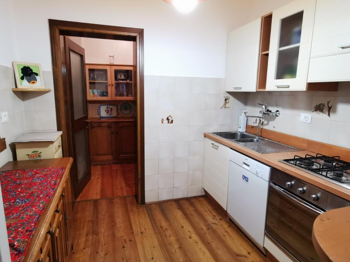 Casa Phoenix Appartamento Piano Terra Immerso Nel Verde A Pochi Minuti Dalla Ciclabile Pieve di Cadore Zewnętrze zdjęcie
