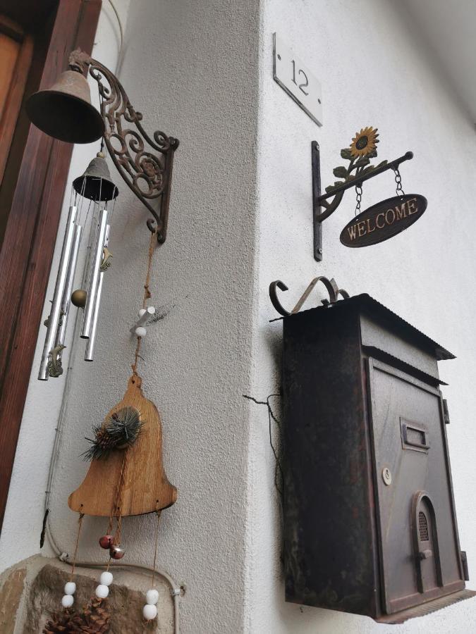 Casa Phoenix Appartamento Piano Terra Immerso Nel Verde A Pochi Minuti Dalla Ciclabile Pieve di Cadore Zewnętrze zdjęcie